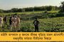 ধসে বিপর্যস্ত শিলিগুড়ি-সিকিমের যোগাযোগব্যবস্থা, পুরোপুরি বন্ধ ১০ নং জাতীয় সড়ক