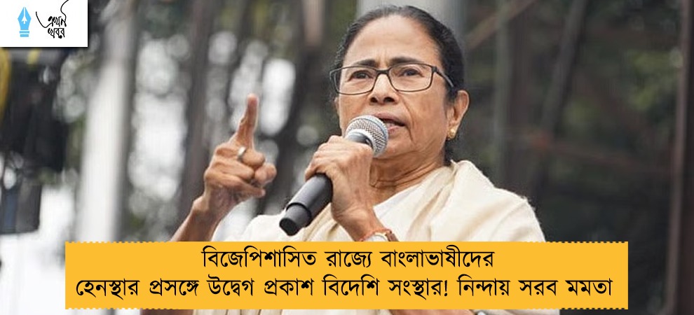 বিজেপিশাসিত রাজ্যে বাংলাভাষীদের হেনস্থার প্রসঙ্গে উদ্বেগ প্রকাশ বিদেশি সংস্থার! নিন্দায় সরব মমতা