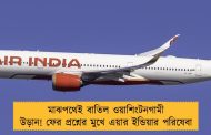 মাঝপথেই বাতিল ওয়াশিংটনগামী উড়ান! ফের প্রশ্নের মুখে এয়ার ইন্ডিয়ার পরিষেবা