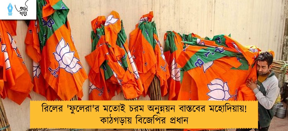 রিলের 'ফুলেরা'র মতোই চরম অনুন্নয়ন বাস্তবের মহোদিয়ায়! কাঠগড়ায় বিজেপির প্রধান