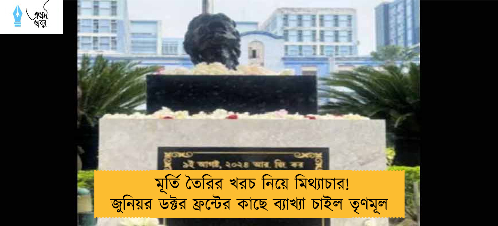 মূর্তি তৈরির খরচ নিয়ে মিথ্যাচার! জুনিয়র ডক্টর ফ্রন্টের কাছে ব্যাখ্যা চাইল তৃণমূল