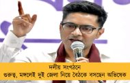 দলীয় সংগঠনে গুরুত্ব, মঙ্গলেই দুই জেলা নিয়ে বৈঠকে বসছেন অভিষেক