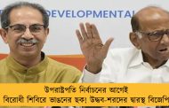 উপরাষ্ট্রপতি নির্বাচনের আগেই বিরোধী শিবিরে ভাঙনের ছক! উদ্ধব-শরদের দ্বারস্থ বিজেপি
