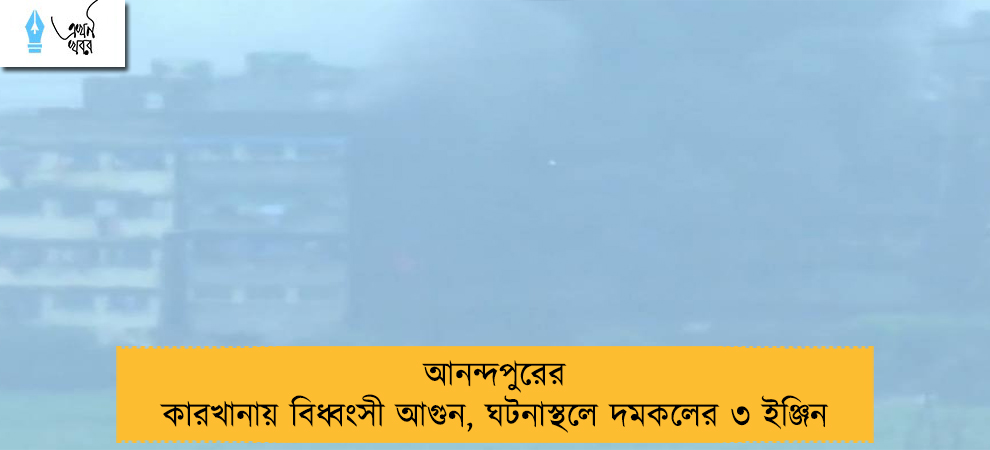 আনন্দপুরের কারখানায় বিধ্বংসী আগুন, ঘটনাস্থলে দমকলের ৩ ইঞ্জিন