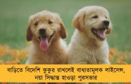 বাড়িতে বিদেশি কুকুর রাখলেই বাধ্যতামূলক লাইসেন্স, নয়া সিদ্ধান্ত হাওড়া পুরসভার