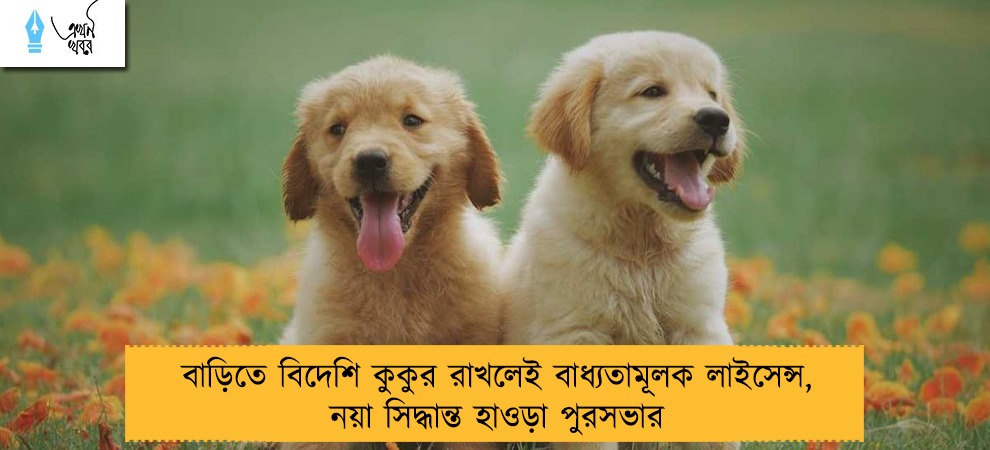 বাড়িতে বিদেশি কুকুর রাখলেই বাধ্যতামূলক লাইসেন্স, নয়া সিদ্ধান্ত হাওড়া পুরসভার