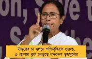 উত্তরের চা বলয়ে শক্তিবৃদ্ধিতে গুরুত্ব, ৩ জেলার ব্লক নেতৃত্বে রদবদল তৃণমূলের