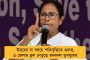 'জামাই আদর' করে নিয়ে গিয়ে অত্যাচার কেন! বাংলাভাষীদের হেনস্থা ইস্যুত প্রশ্ন মমতার