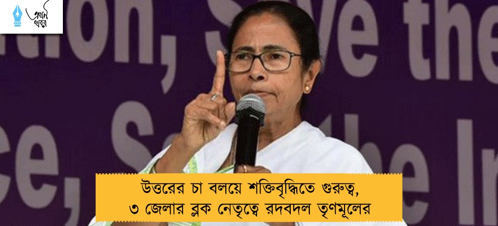 উত্তরের চা বলয়ে শক্তিবৃদ্ধিতে গুরুত্ব, ৩ জেলার ব্লক নেতৃত্বে রদবদল তৃণমূলের