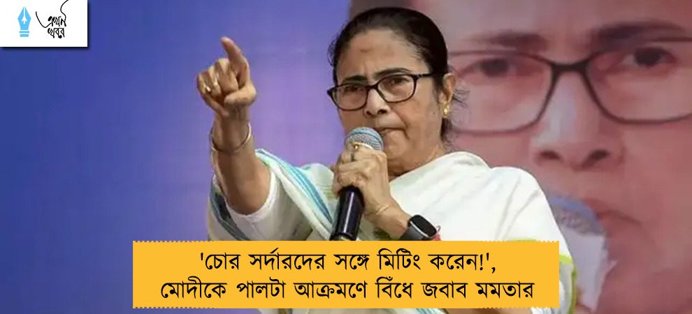 'চোর সর্দারদের সঙ্গে মিটিং করেন!', মোদীকে পালটা আক্রমণে বিঁধে জবাব মমতার