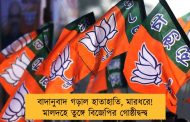বাদানুবাদ গড়াল হাতাহাতি, মারধরে! মালদহে তুঙ্গে বিজেপির গোষ্ঠীদ্বন্দ্ব