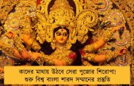 কাদের মাথায় উঠবে সেরা পুজোর শিরোপা! শুরু বিশ্ব বাংলা শারদ সম্মানের প্রস্তুতি