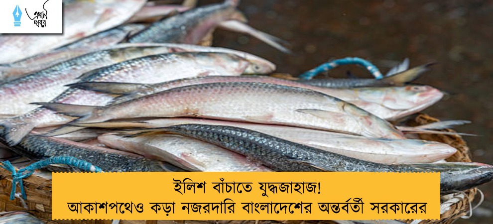 ইলিশ বাঁচাতে যুদ্ধজাহাজ! আকাশপথেও কড়া নজরদারি বাংলাদেশের অন্তর্বর্তী সরকারের