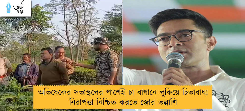 অভিষেকের সভাস্থলের পাশেই চা বাগানে লুকিয়ে চিতাবাঘ! নিরাপত্তা নিশ্চিত করতে জোর তল্লাশি