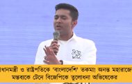 প্রধানমন্ত্রী ও রাষ্ট্রপতিকে 'বাংলাদেশি' তকমা! অনন্ত মহারাজের মন্তব্যকে টেনে বিজেপিকে তুলোধনা অভিষেকের