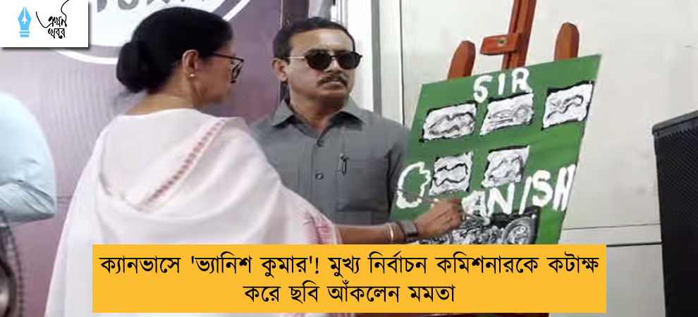 ক্যানভাসে 'ভ্যানিশ কুমার'! মুখ্য নির্বাচন কমিশনারকে কটাক্ষ করে ছবি আঁকলেন মমতা
