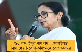 '৬০ লক্ষ হিন্দুর নাম বাদ'! এসআইআর নিয়ে ফের বিজেপি-কমিশনকে তোপ মমতার