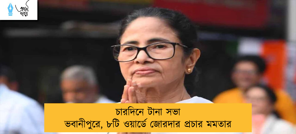 চারদিনে টানা সভা ভবানীপুরে, ৮টি ওয়ার্ডে জোরদার প্রচার মমতার