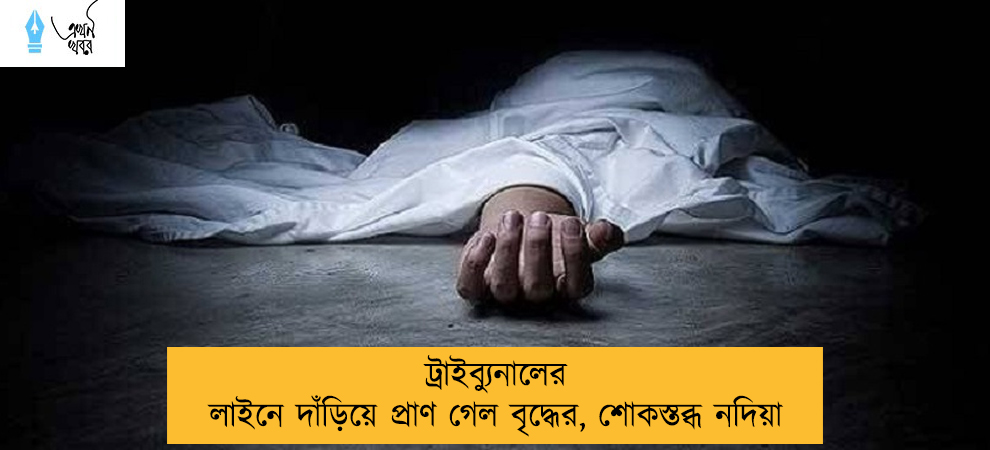 ট্রাইব্যুনালের লাইনে দাঁড়িয়ে প্রাণ গেল বৃদ্ধের, শোকস্তব্ধ নদিয়া